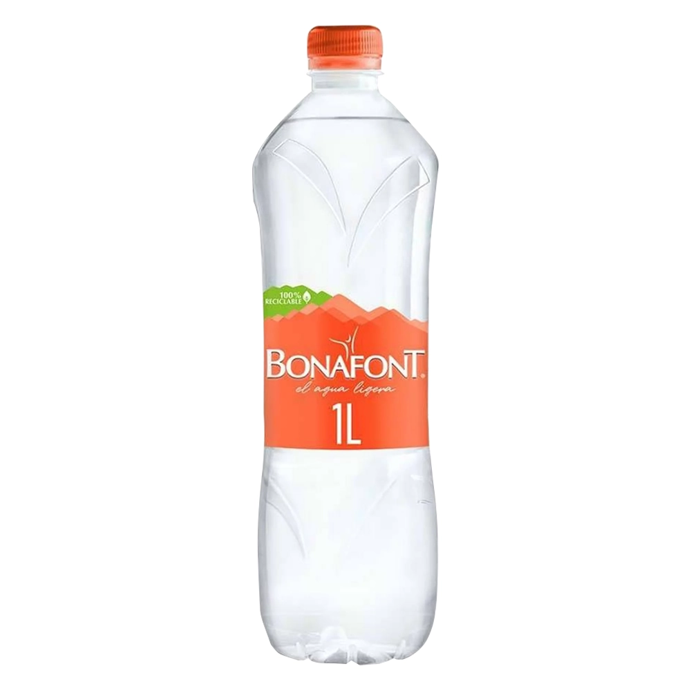 Agua Natural Bonafont 12/1 L
